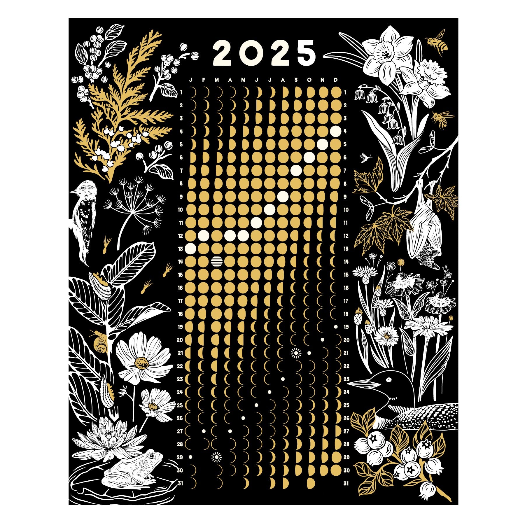 ✷PREORDER✷ 2025 Moon Calendar Poster