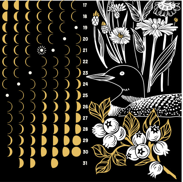 ✷PREORDER✷ 2025 Moon Calendar Poster