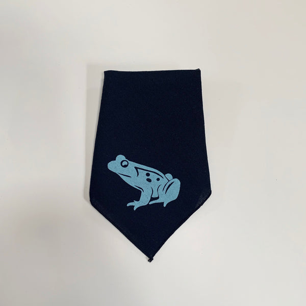 Frog Handkerchief